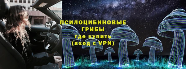 ешки Белоозёрский