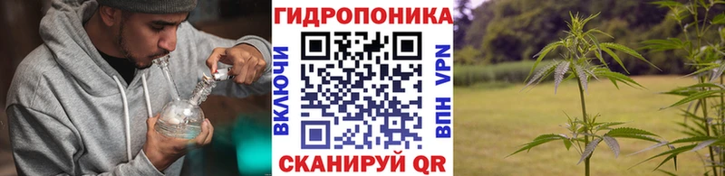 Бошки Шишки LSD WEED Колпашево